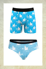 Load image into Gallery viewer, The Polar Plunge | Polar Bear Ball Hammock® Boxer and Cheeky Underwear Pack